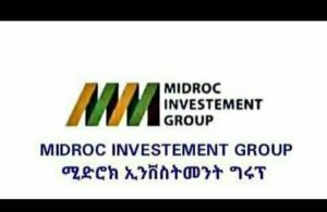 midroc investment group